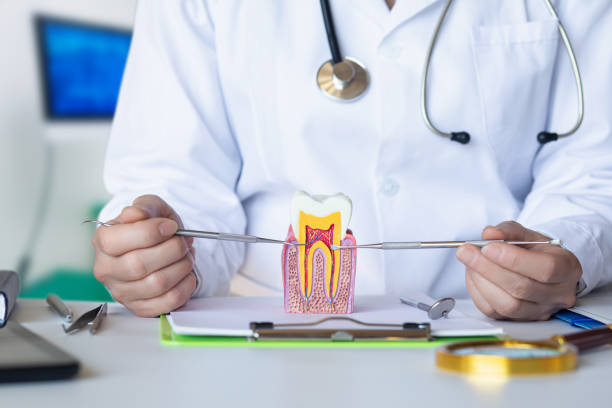 Best Weekend Emergency Dentist in Mason City, IL